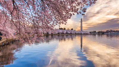 Things to do in Washington DC (1)